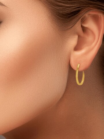 ARS-ARGENTI Ohrringe 'NAUGHTY HOOPS' in Gold