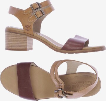 TIMBERLAND Sandals & High-Heeled Sandals in 39,5 in Beige: front