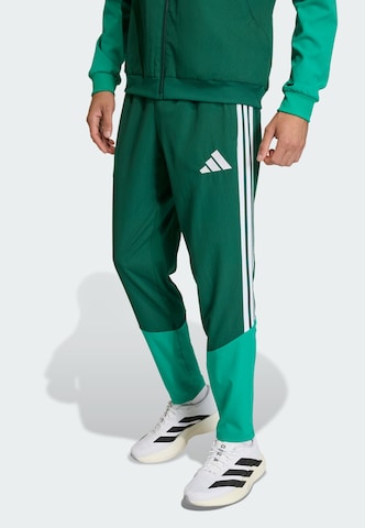 ADIDAS PERFORMANCE Regular Sporthose 'Algerien 26' in Grün: Vorderseite