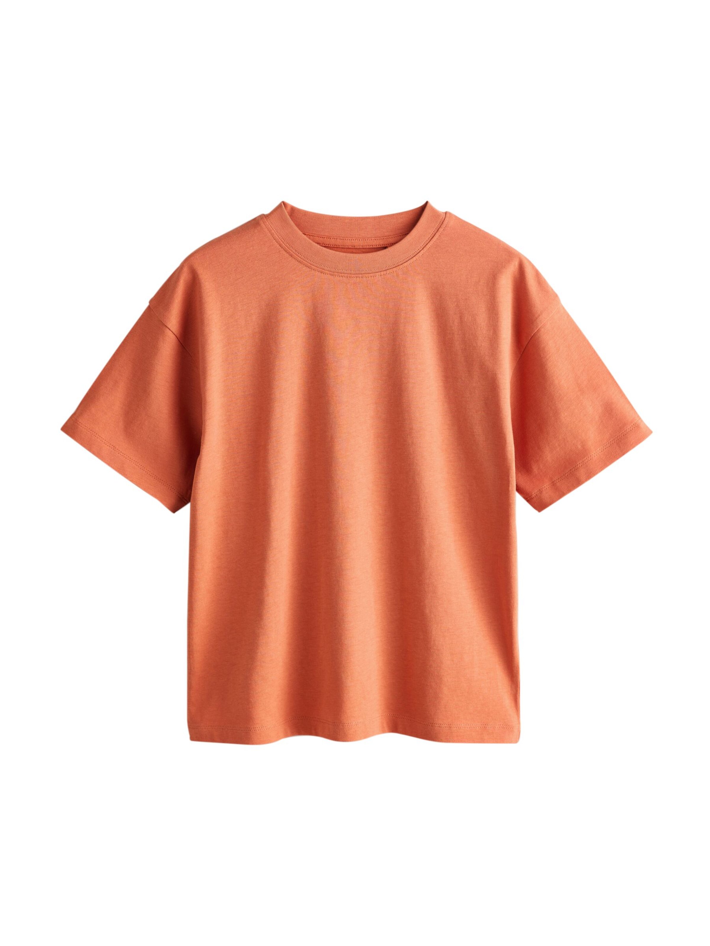 Next T-Shirt in Blau