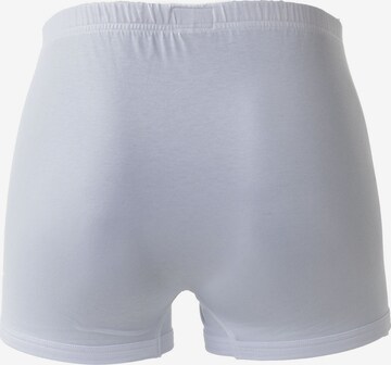 NOVILA Boxershorts in Wit