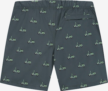 Shiwi Board Shorts in Green