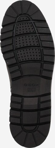 juoda GEOX Auliniai batai su raišteliais 'GHIACCIAIO'