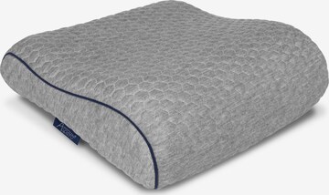 Aspero Pillow ' Kyoto ' in Grey