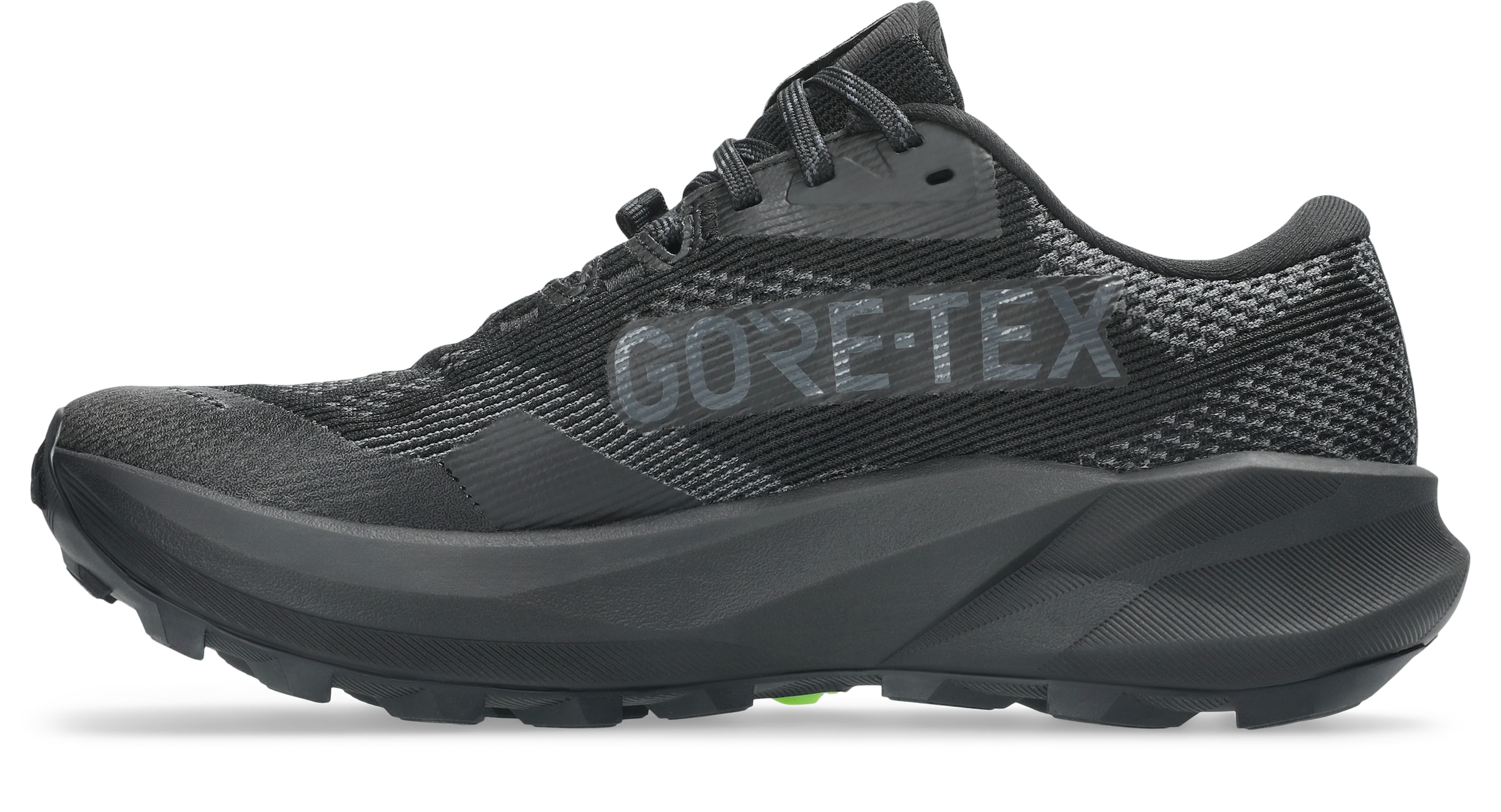 ASICS Laufschuh in Grau