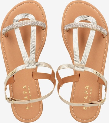 Scapa Chaussures Basket Scapa Femme Scapa Chaussures Pour Femmes