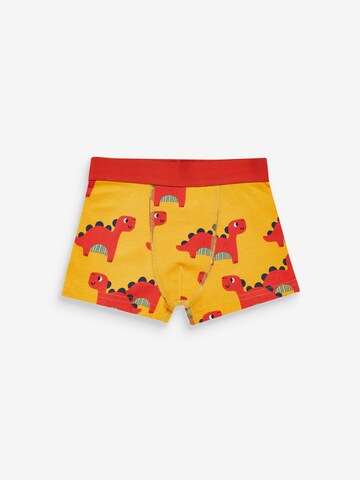 Sous-vêtements Next en mélange de couleurs