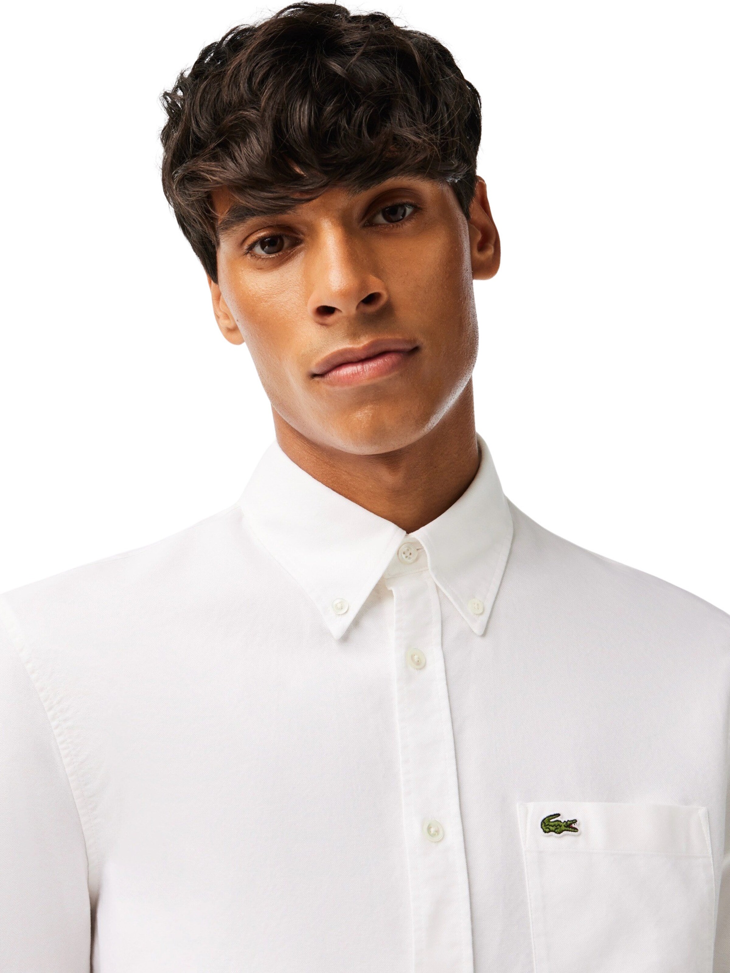 Chemises lacoste hommes hotsell