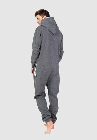 Moniz Jumpsuit in Grau