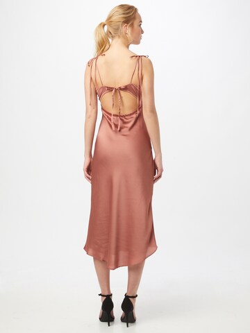 Abercrombie & Fitch Kleid in Pink