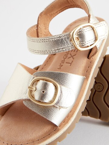 Next Sandal i guld