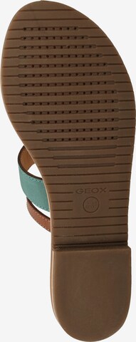 GEOX Teenslipper in Bruin