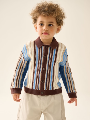 Next Knit Cardigan in Blue: front