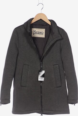 Herno Jacket & Coat in S in Grey: front