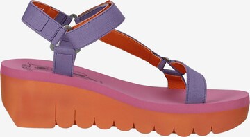 FLY LONDON Strap Sandals in Purple