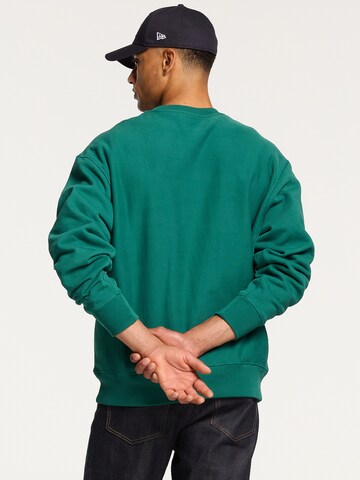 Sweat-shirt Shiwi en vert