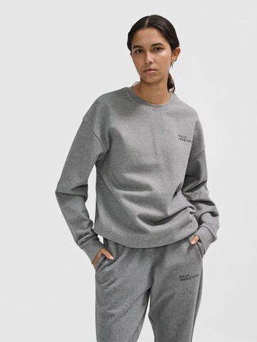 HALO Sweatshirt in Grijs: voorkant
