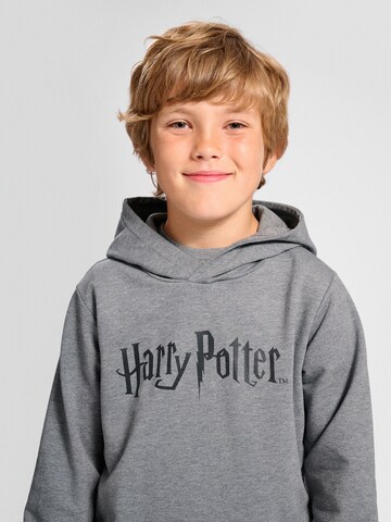 Hummel Sweatshirt i grå