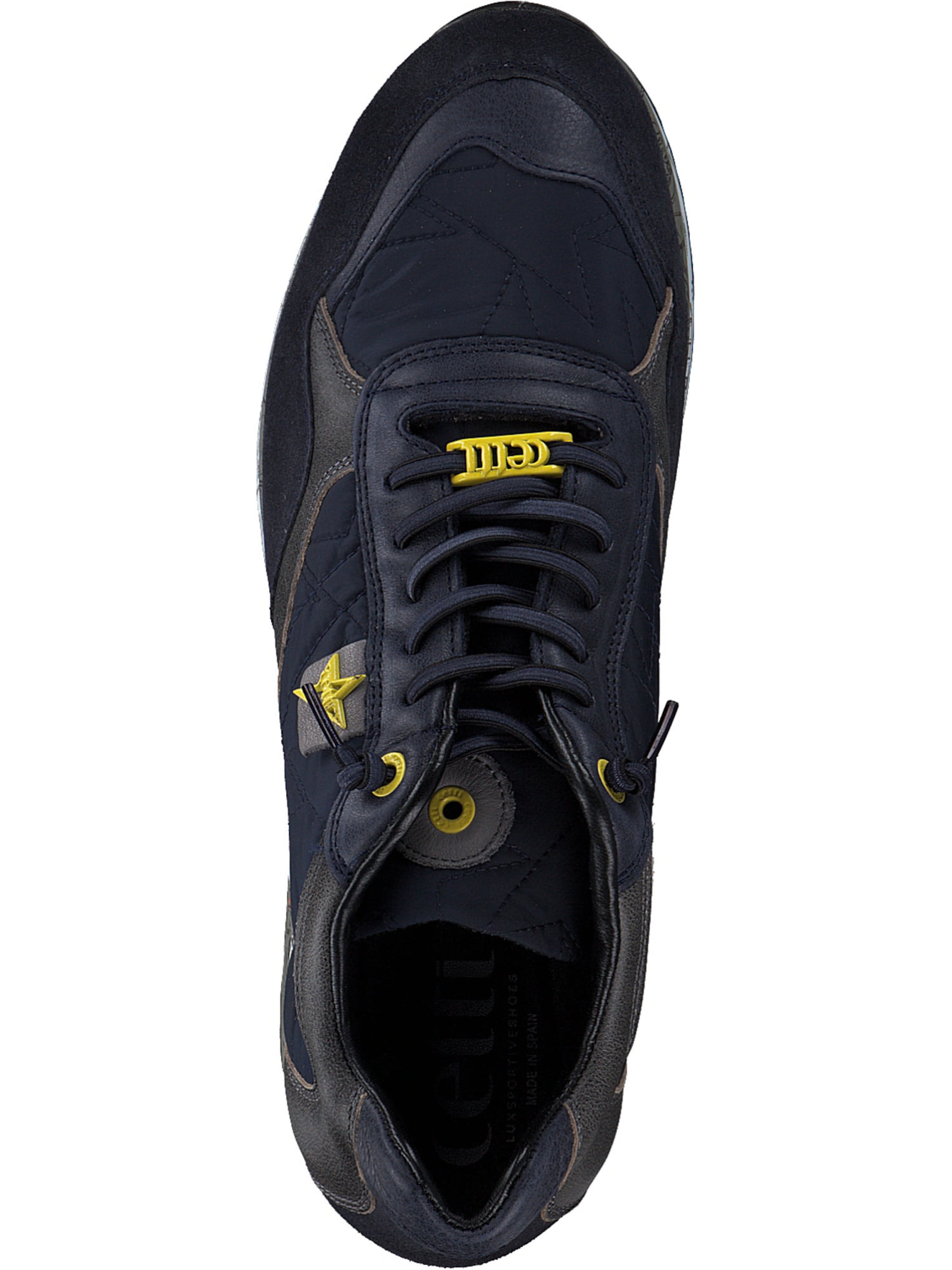 Chaussure à lacets Cetti en bleu