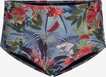 Swim by Zizzi Bikinibroek 'Stania' in Blauw: voorkant