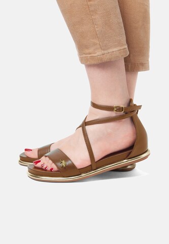Sandalo di U.S. POLO ASSN. in marrone: frontale