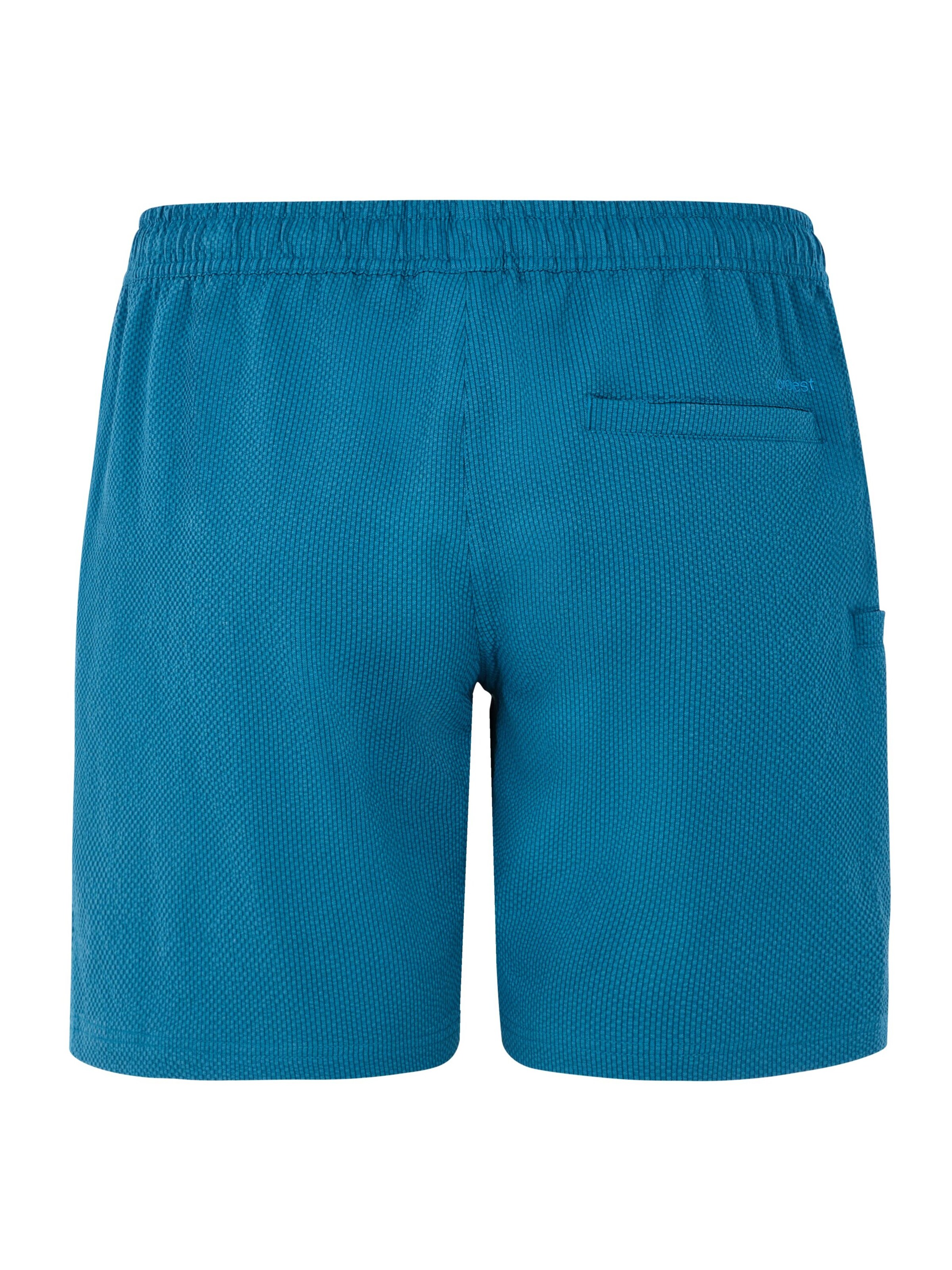 PROTEST Swimming Trunks 'PRTAgaat 25' in Blue