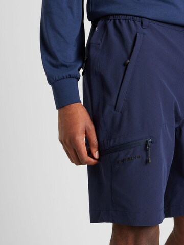 Regular Pantalon outdoor 'BERWYN' ICEPEAK en bleu