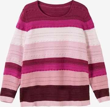 SHEEGO Sweater in Pink: front