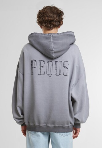 Sweat-shirt Pequs en gris : devant