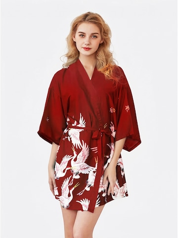 Vivi Idee Dressing Gown 'Nachthemd' in Red