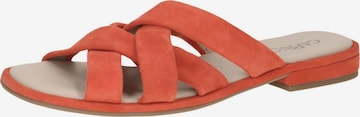 CAPRICE Pantolette in Orange: Vorderseite