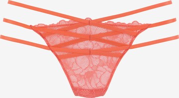 PETITE FLEUR GOLD Tanga – oranžová: přední strana