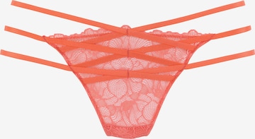 PETITE FLEUR GOLD - Tanga em laranja: frente