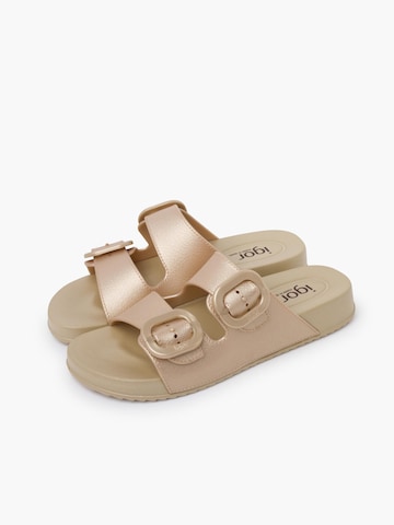 Claquettes / Tongs IGOR en beige
