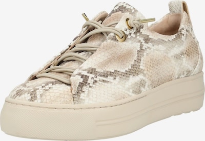 Paul Green Sneaker in sand / dunkelbeige / weiß, Produktansicht
