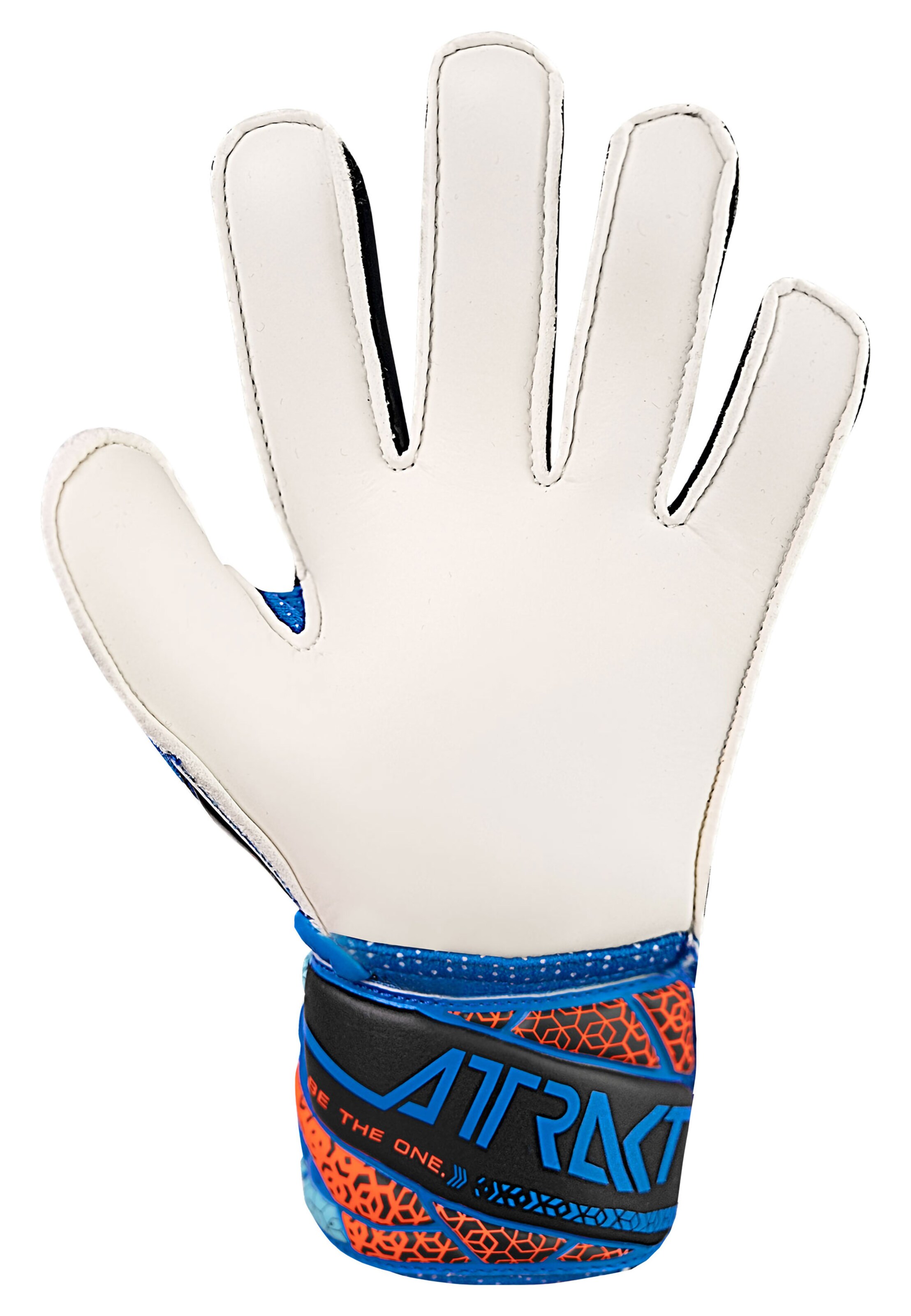 REUSCH Torwarthandschuhe 'Attrakt Solid Junior' in Blau