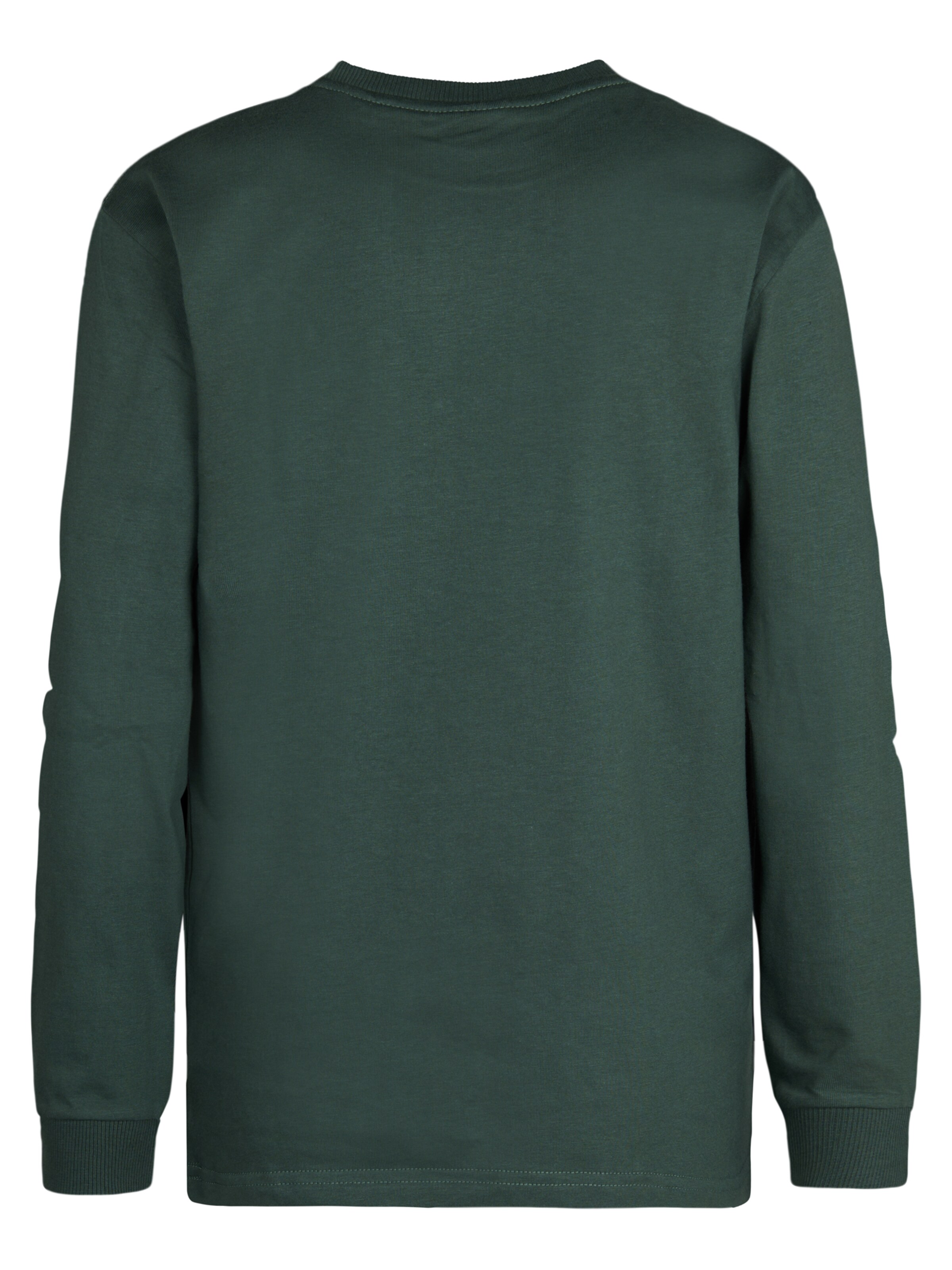 Petrol Industries Shirt in Groen