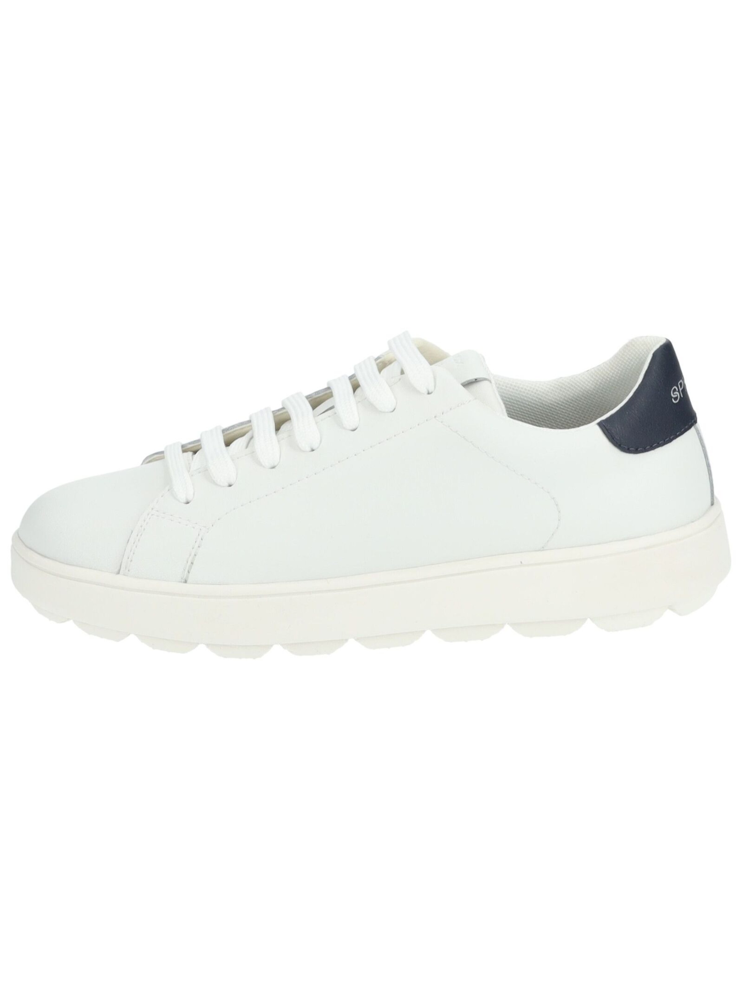 GEOX Sneakers in White