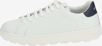 GEOX Sneakers laag in Wit