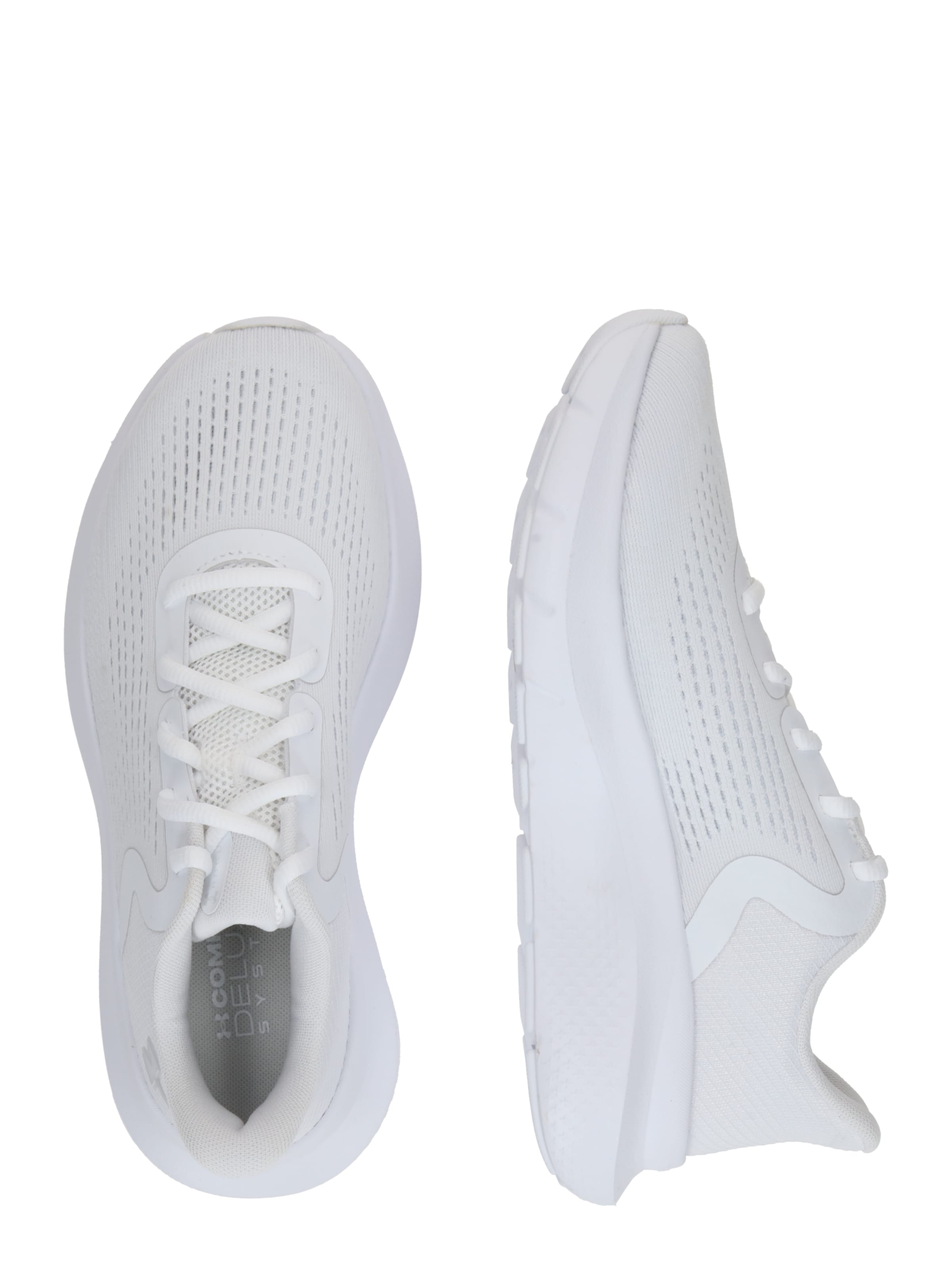 Scarpa sportiva 'Rogue 5' di UNDER ARMOUR in bianco