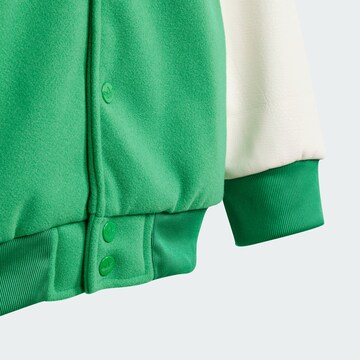 ADIDAS ORIGINALS Outdoor jacket 'Adicolor Vrct' in Green