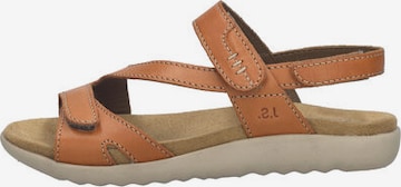 JOSEF SEIBEL Sandal 'JULIET 01' in Orange: front