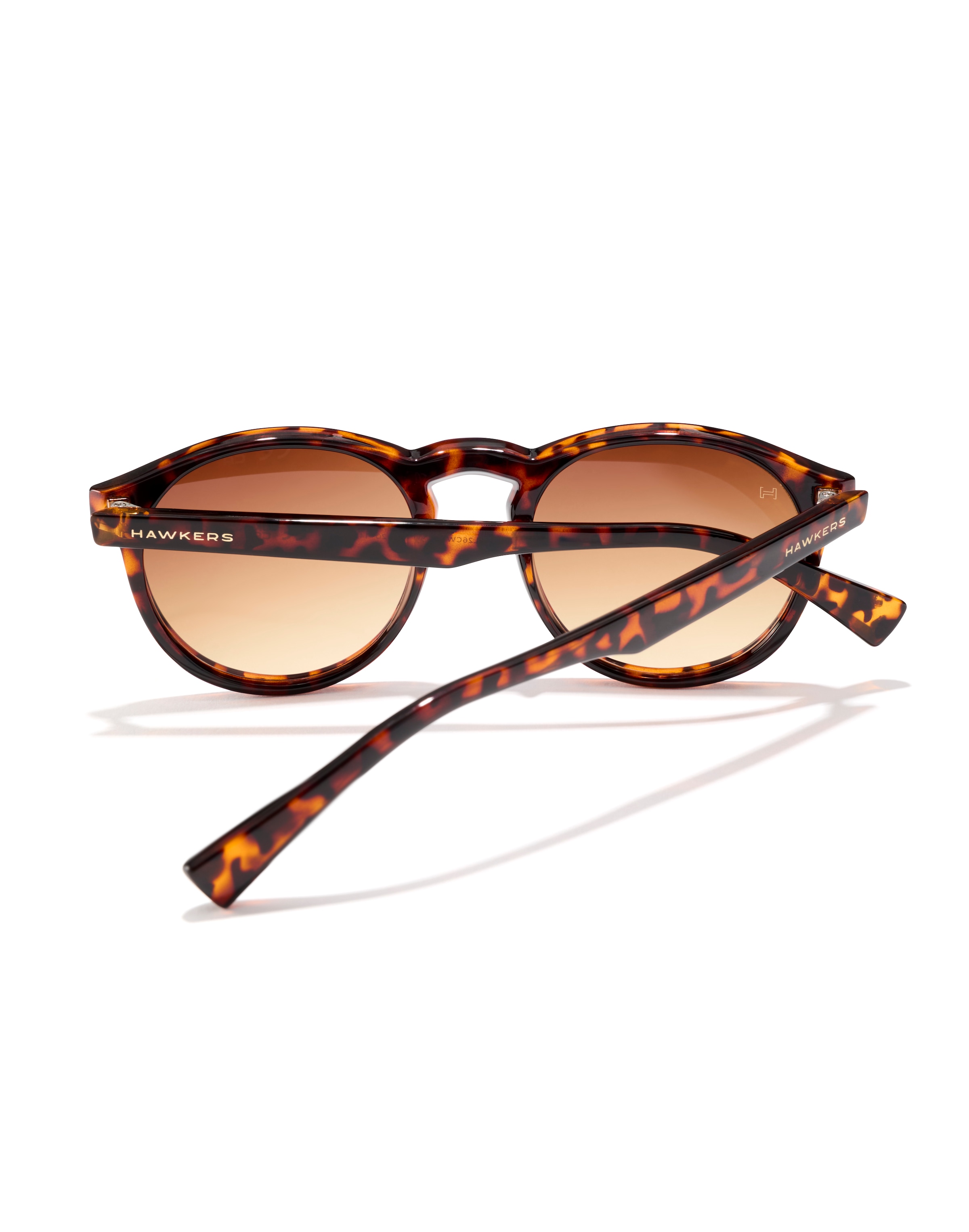 HAWKERS Sunglasses 'Bel Air' in Brown