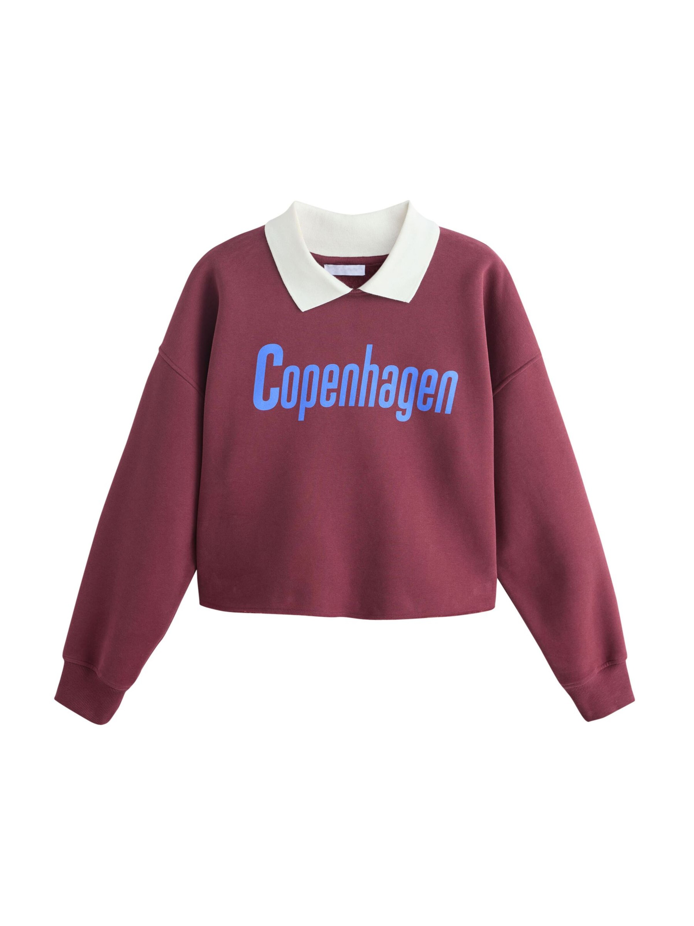 Felpa Next di colore blu / borgogna / bianco, Visualizzazione prodotti