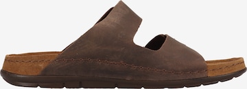 ROHDE Mules in Brown