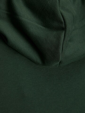 Sweat-shirt 'Stein' JACK & JONES en vert