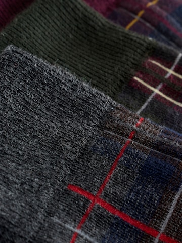 Next Socks in Blue