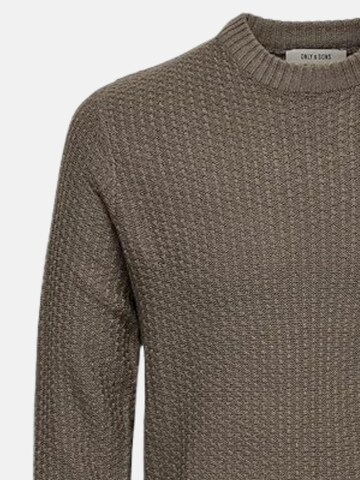 Only & Sons Trui 'ONLY & SONS ONSALAM REG 5 STRUC CREW KNIT Maglieria' in Bruin