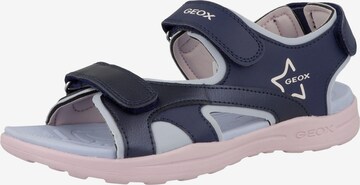 GEOX Sandals 'Vaniett' in Blue: front
