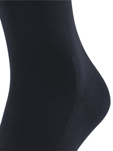 FALKE Socken 'ClimaWool'‌‌‌‌‌‌‌‌‌ in Blau